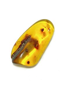 Âmbar Natural Verdadeiro - 4.6cm - ID:2356