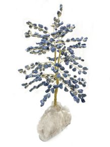 Árvore - Sodalita - Eucalipto GG - ID:2419 