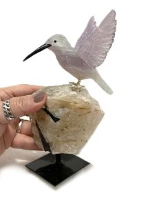 Pássaro - Beija Flor - ID:4247