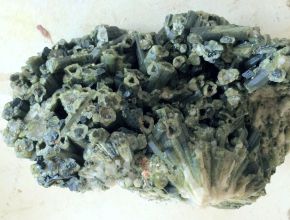 Turmalina Verde - Formação Natural - ID:3737