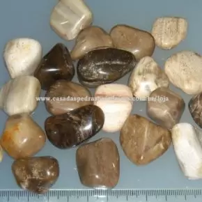 Pedra Rolada - Madeira Petrificada - ID:471